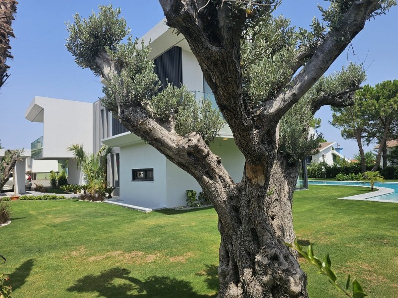 Cesme - Marmurbaba Villa for Sale
