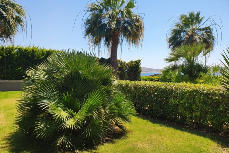 Beach House in Cesme for Sale