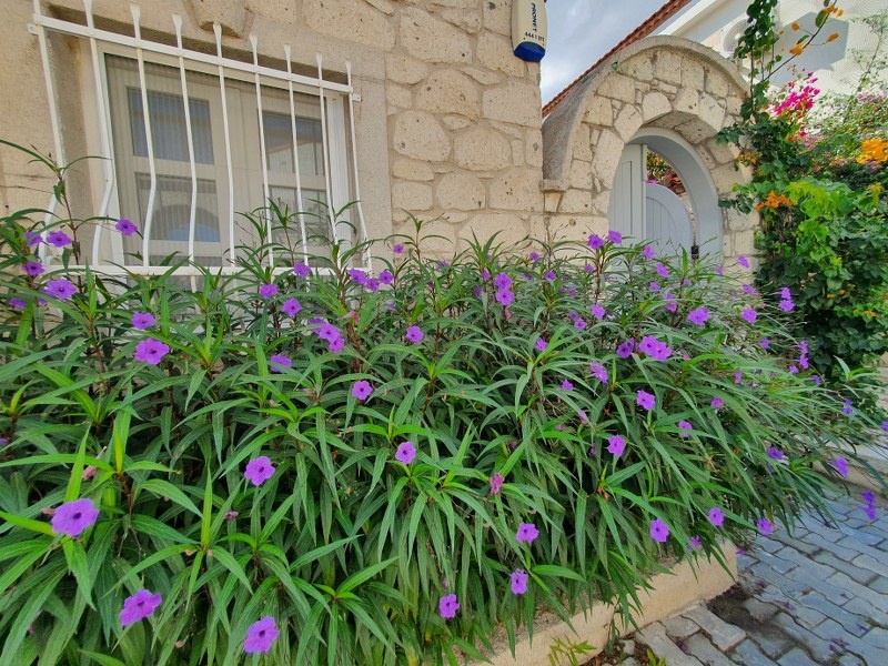 Newly Renovated Alacati Stonehouse for sale
